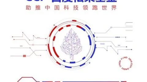 终极对决：费与恩佐技术对比，两人相似之处与费冒险踢法